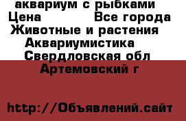 аквариум с рыбками › Цена ­ 1 000 - Все города Животные и растения » Аквариумистика   . Свердловская обл.,Артемовский г.